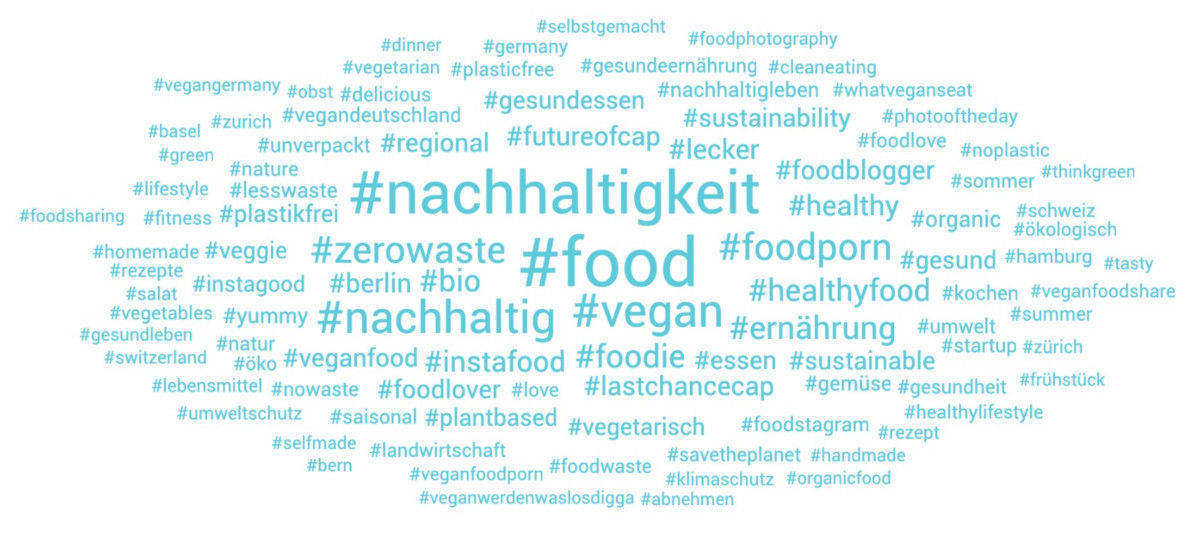 Die Hashtag-Wolke zeigt, dass das Thema Nachhaltigkeit in den Posts zu veganer Ernährung am häufigsten fällt.