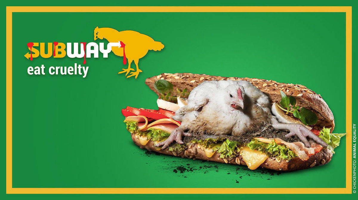 Subway sträubt sich in Europa gegen machbare Verbesserungen in der Haltung von Hühnern.