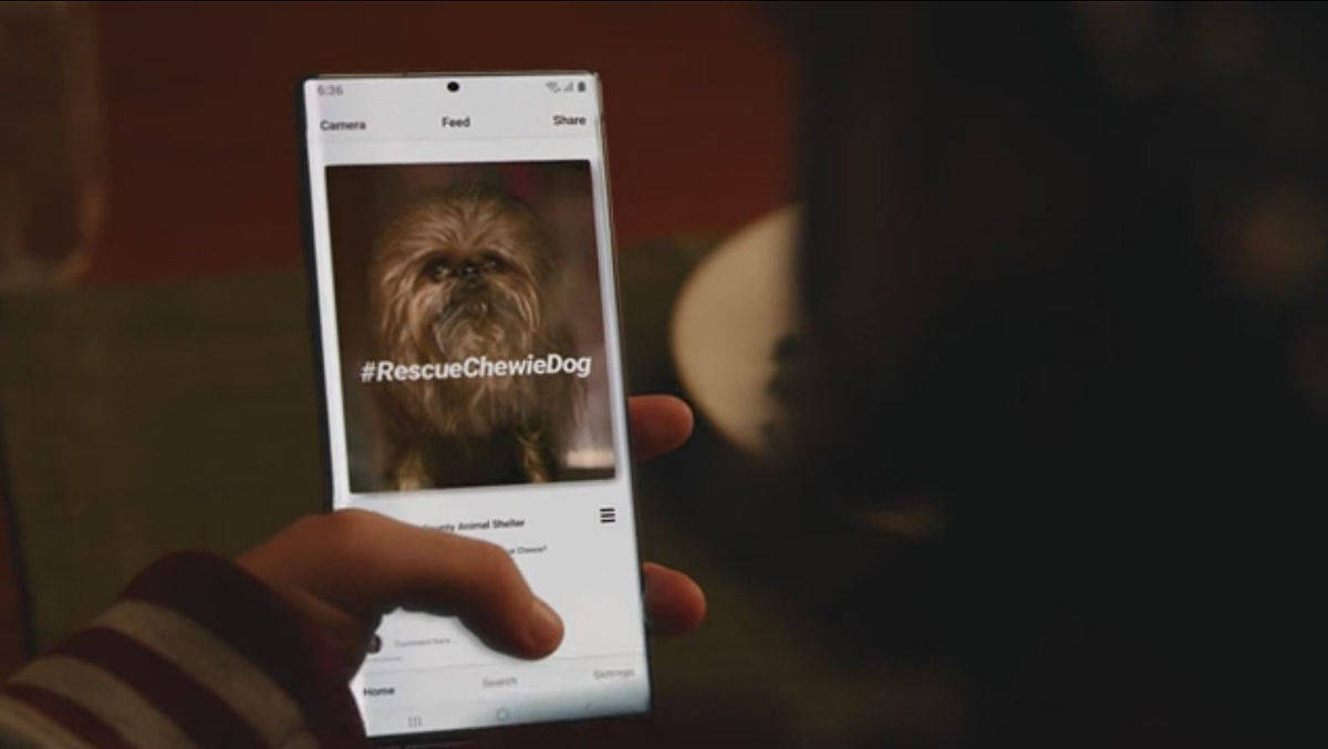 Samsung setzt ein Hündchen in seiner Kampagne ein, das Chewbacca ähnelt