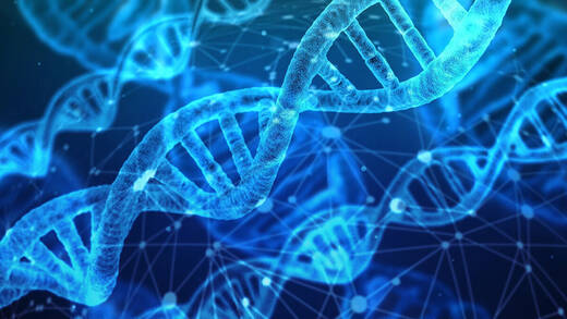 DNA kann unfassbare Datenmengen speichern.